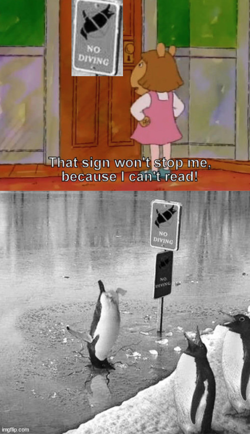 Might paralyze you, but stick to those guns! | image tagged in this sign won't stop me because i cant read,paralyze,socially awkward penguin,diving | made w/ Imgflip meme maker