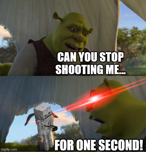 Seriously stop dude | CAN YOU STOP SHOOTING ME... FOR ONE SECOND! | image tagged in shrek for five minutes | made w/ Imgflip meme maker