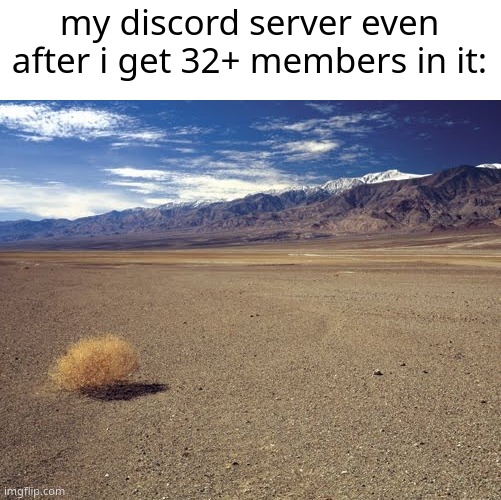 at least i only have based people (and spire) in it | my discord server even after i get 32+ members in it: | image tagged in desert tumbleweed | made w/ Imgflip meme maker