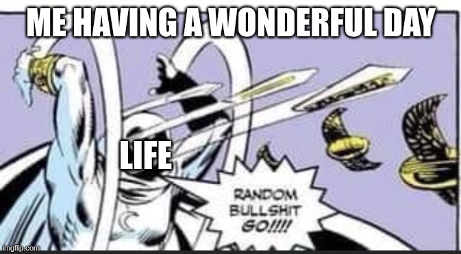 relatable | ME HAVING A WONDERFUL DAY; LIFE | image tagged in random bullshit go,relatable | made w/ Imgflip meme maker