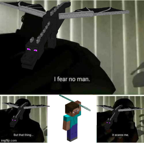 Im gonna ask the ender dragon if this is true | image tagged in i fear no man | made w/ Imgflip meme maker