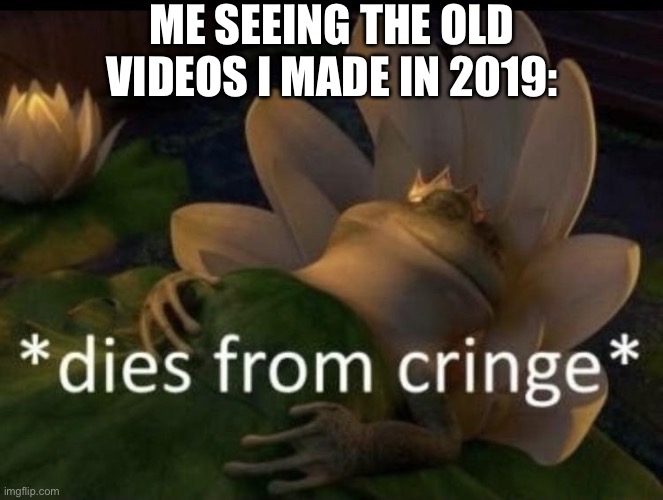 Why | ME SEEING THE OLD VIDEOS I MADE IN 2019: | image tagged in dies from cringe,memes,relatable memes,relatable,cringe,funny | made w/ Imgflip meme maker