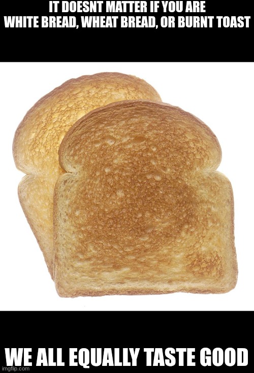 IT DOESNT MATTER IF YOU ARE WHITE BREAD, WHEAT BREAD, OR BURNT TOAST; WE ALL EQUALLY TASTE GOOD | made w/ Imgflip meme maker