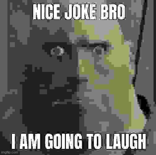 Nice joke bro, i am going to laugh | image tagged in nice joke bro i am going to laugh | made w/ Imgflip meme maker