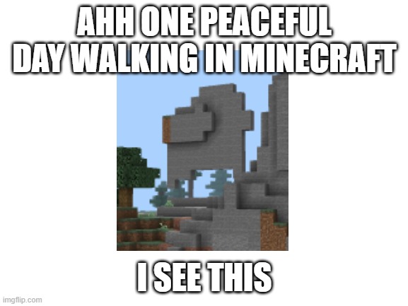 SUS? |  AHH ONE PEACEFUL DAY WALKING IN MINECRAFT; I SEE THIS | image tagged in blank white template | made w/ Imgflip meme maker