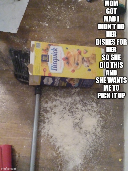 Bitch no- I don't even own the right kind of vacuum for this shit | MOM GOT MAD I DIDN'T DO HER DISHES FOR HER SO SHE DID THIS AND SHE WANTS ME TO PICK IT UP | made w/ Imgflip meme maker