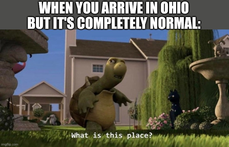 Down in ohio | WHEN YOU ARRIVE IN OHIO BUT IT'S COMPLETELY NORMAL: | image tagged in what is this place,ohio,memes | made w/ Imgflip meme maker