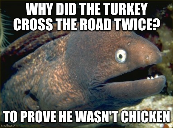 Turkey | WHY DID THE TURKEY CROSS THE ROAD TWICE? TO PROVE HE WASN'T CHICKEN | image tagged in memes,bad joke eel,thanksgiving,turkey,bad pun | made w/ Imgflip meme maker