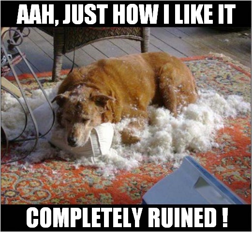 Your Gonna Need Another Dog Bed ! | AAH, JUST HOW I LIKE IT; COMPLETELY RUINED ! | image tagged in dogs,bed,destruction | made w/ Imgflip meme maker