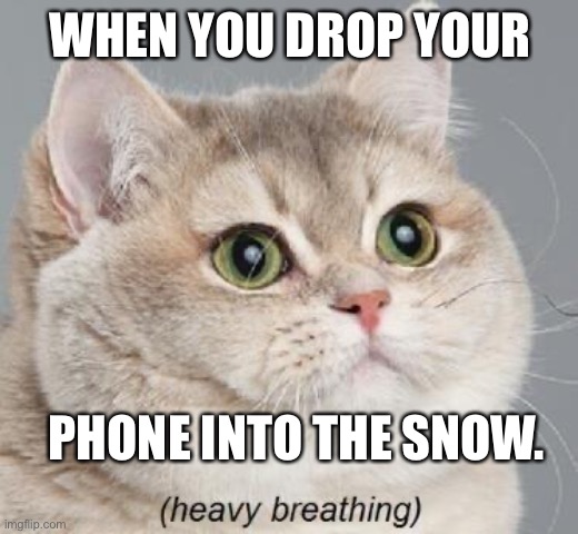 Heavy Breathing Cat | WHEN YOU DROP YOUR; PHONE INTO THE SNOW. | image tagged in memes,heavy breathing cat | made w/ Imgflip meme maker