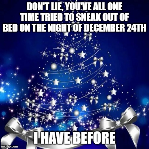 true story | DON'T LIE, YOU'VE ALL ONE TIME TRIED TO SNEAK OUT OF BED ON THE NIGHT OF DECEMBER 24TH; I HAVE BEFORE | image tagged in merry christmas | made w/ Imgflip meme maker