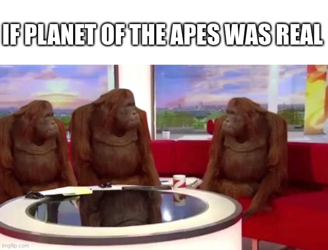 where monkey | IF PLANET OF THE APES WAS REAL | image tagged in where monkey | made w/ Imgflip meme maker