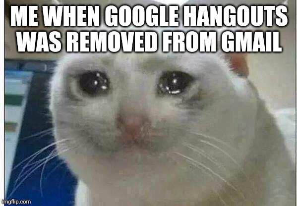 crying cat | ME WHEN GOOGLE HANGOUTS WAS REMOVED FROM GMAIL | image tagged in crying cat | made w/ Imgflip meme maker