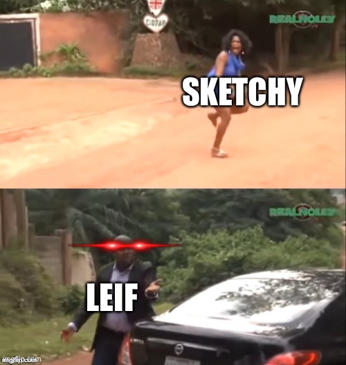 Why are you running | SKETCHY LEIF | image tagged in why are you running | made w/ Imgflip meme maker