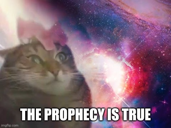 the prophecy is true cat | THE PROPHECY IS TRUE | image tagged in the prophecy is true cat | made w/ Imgflip meme maker