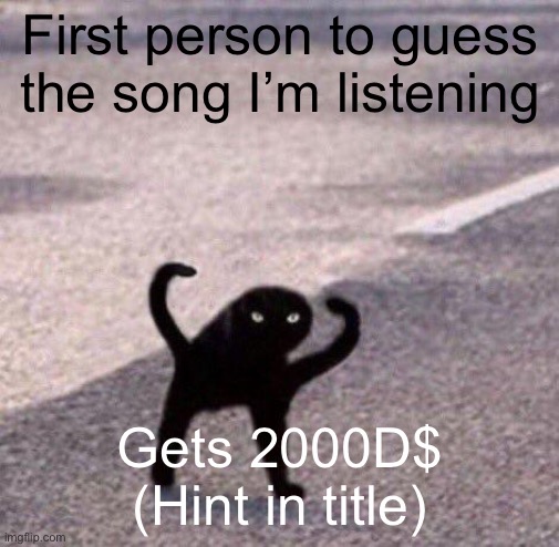 Hint: it’s by Bo Burnham | First person to guess the song I’m listening; Gets 2000D$ (Hint in title) | image tagged in cursed cat temp | made w/ Imgflip meme maker