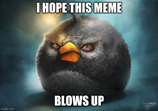 angry birds bomb | I HOPE THIS MEME; BLOWS UP | image tagged in angry birds bomb | made w/ Imgflip meme maker