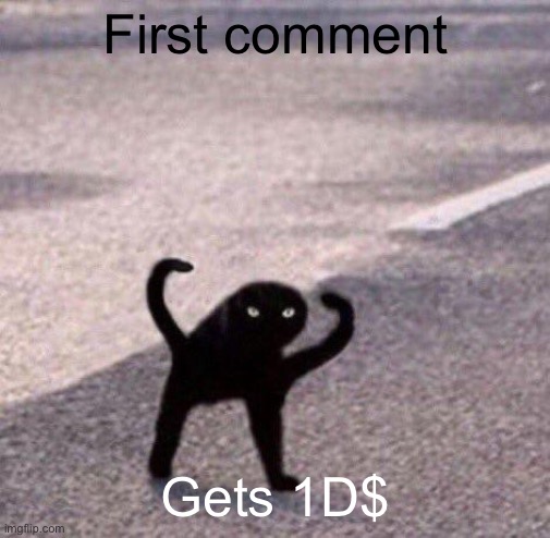 Cursed cat temp | First comment; Gets 1D$ | image tagged in cursed cat temp | made w/ Imgflip meme maker