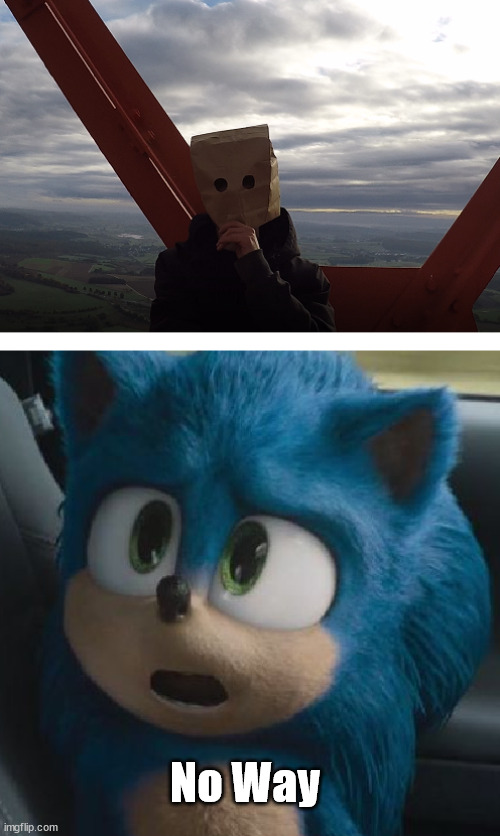 Sonic | No Way | image tagged in sonic | made w/ Imgflip meme maker