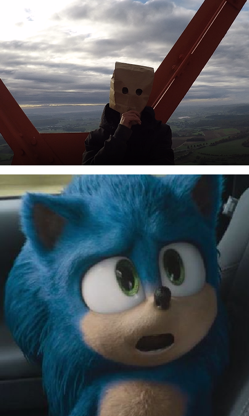 Sonic Blank Meme Template