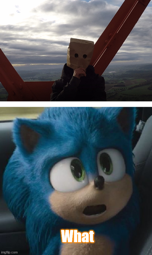 Sonic | What | image tagged in sonic | made w/ Imgflip meme maker