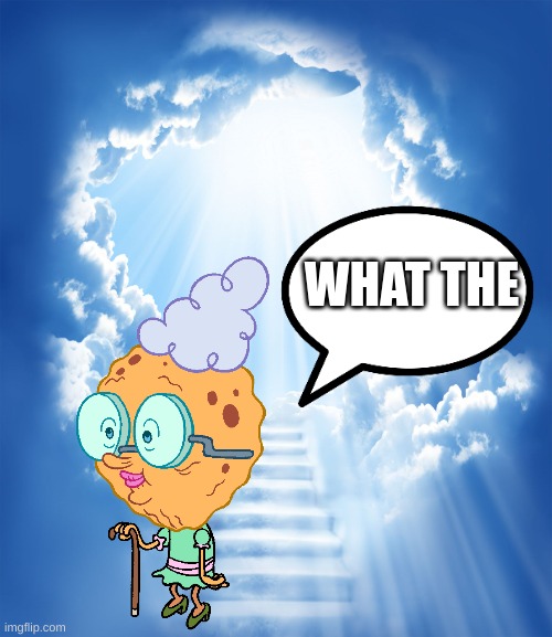 WHAT THE | made w/ Imgflip meme maker