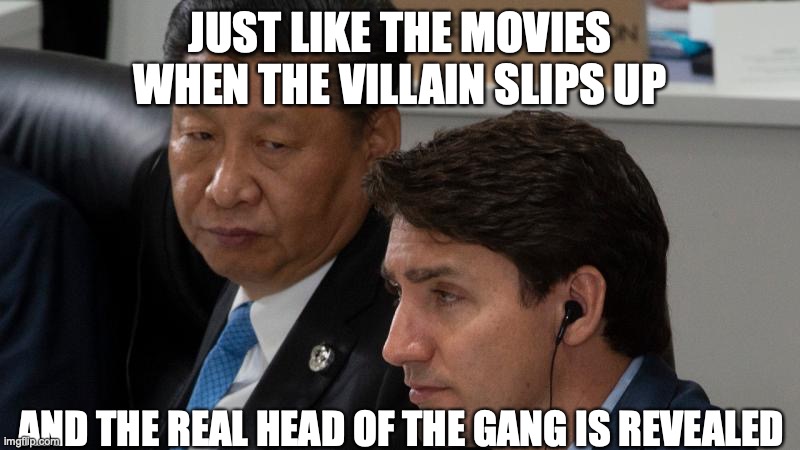 the real head of the gang is revealed | JUST LIKE THE MOVIES WHEN THE VILLAIN SLIPS UP; AND THE REAL HEAD OF THE GANG IS REVEALED | image tagged in xi jinping dresses down justin trudeau,xi,trudeau | made w/ Imgflip meme maker