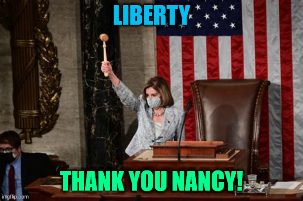 Thank you Madam Speaker! | LIBERTY; THANK YOU NANCY! | image tagged in nancy pelosi,partiot,speaker of the house,democrat,usa | made w/ Imgflip meme maker