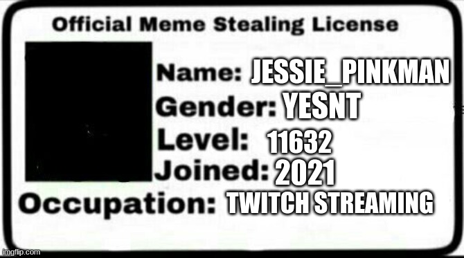 Meme Stealing License | JESSIE_PINKMAN; YESNT; 11632; 2021; TWITCH STREAMING | image tagged in meme stealing license | made w/ Imgflip meme maker