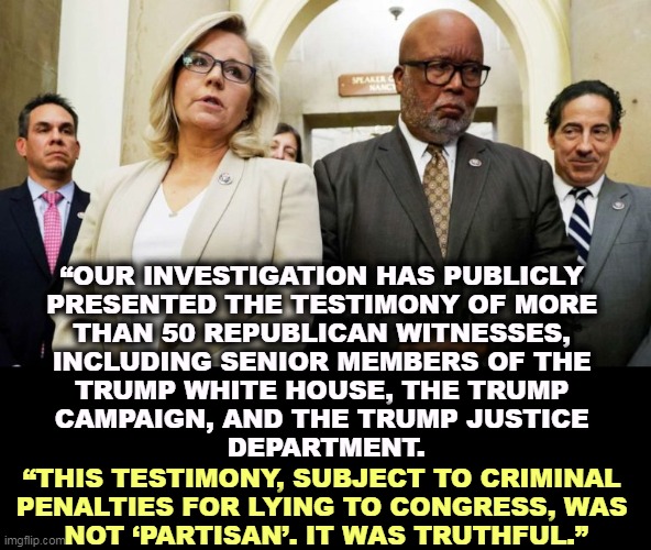 “OUR INVESTIGATION HAS PUBLICLY 
PRESENTED THE TESTIMONY OF MORE 
THAN 50 REPUBLICAN WITNESSES, 
INCLUDING SENIOR MEMBERS OF THE 
TRUMP WHITE HOUSE, THE TRUMP 
CAMPAIGN, AND THE TRUMP JUSTICE 
DEPARTMENT. “THIS TESTIMONY, SUBJECT TO CRIMINAL 
PENALTIES FOR LYING TO CONGRESS, WAS 
NOT ‘PARTISAN’. IT WAS TRUTHFUL.” | image tagged in congress,investigation,republican,insurrection,crimes,riots | made w/ Imgflip meme maker
