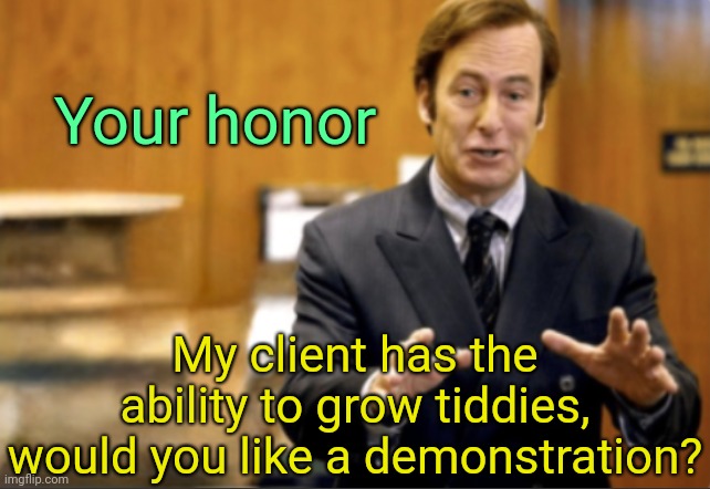 . | Your honor; My client has the ability to grow tiddies, would you like a demonstration? | image tagged in saul goodman defending | made w/ Imgflip meme maker