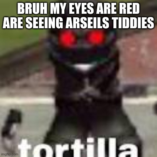 tortilla | BRUH MY EYES ARE RED ARE SEEING ARSEILS TIDDIES | image tagged in tortilla | made w/ Imgflip meme maker