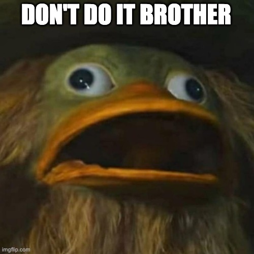 duck on crack | DON'T DO IT BROTHER | image tagged in duck on crack | made w/ Imgflip meme maker