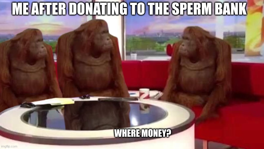 funny stuff | ME AFTER DONATING TO THE SPERM BANK; WHERE MONEY? | image tagged in where monkey,monke | made w/ Imgflip meme maker