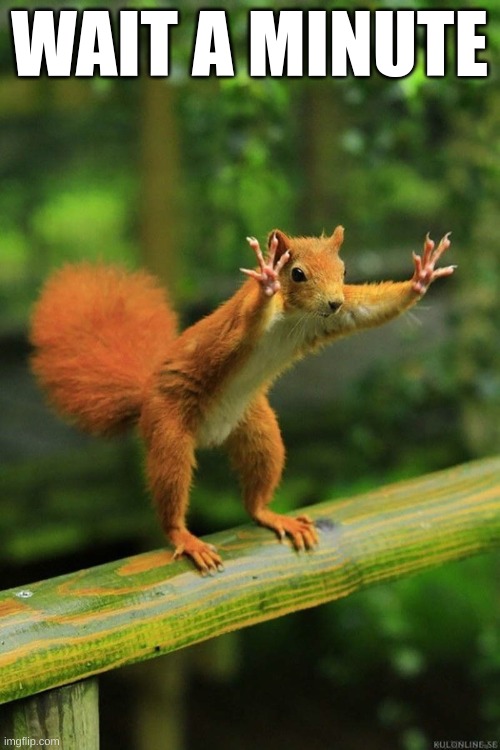 Wait a Minute Squirrel | WAIT A MINUTE | image tagged in wait a minute squirrel | made w/ Imgflip meme maker