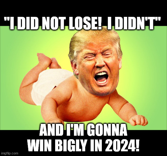 Tiny orange baby having a tantrump | "I DID NOT LOSE!  I DIDN'T"; AND I'M GONNA
WIN BIGLY IN 2024! | image tagged in baby trump | made w/ Imgflip meme maker