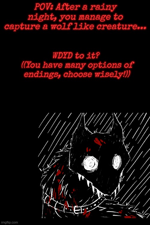 - Horror roleplay - Many endings possible, good ending and secret ending etc - | POV: After a rainy night, you manage to capture a wolf like creature... WDYD to it? 
((You have many options of
endings, choose wisely!)) | image tagged in horror roleplay,tw,blood,bodys,death,etc | made w/ Imgflip meme maker