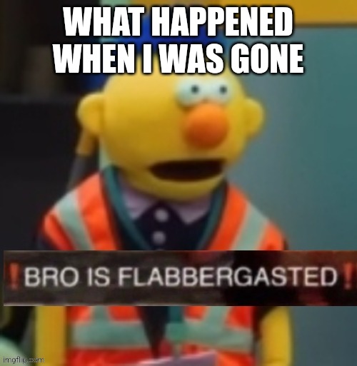 Flabbergasted Yellow Guy | WHAT HAPPENED WHEN I WAS GONE | image tagged in flabbergasted yellow guy | made w/ Imgflip meme maker