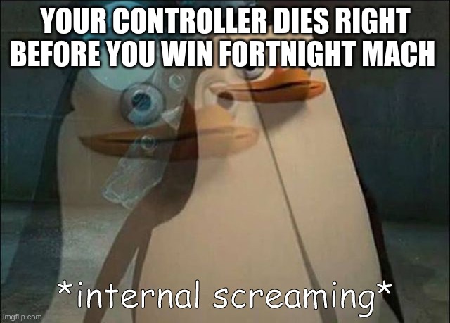 Private Internal Screaming | YOUR CONTROLLER DIES RIGHT BEFORE YOU WIN FORTNIGHT MACH | image tagged in private internal screaming | made w/ Imgflip meme maker
