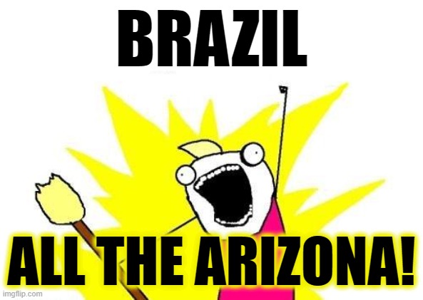 X All The Y Meme | BRAZIL ALL THE ARIZONA! | image tagged in memes,x all the y | made w/ Imgflip meme maker