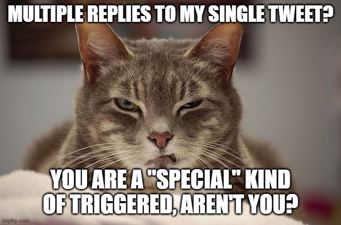 Skeptical cat | MULTIPLE REPLIES TO MY SINGLE TWEET? YOU ARE A "SPECIAL" KIND OF TRIGGERED, AREN'T YOU? | image tagged in skeptical cat | made w/ Imgflip meme maker