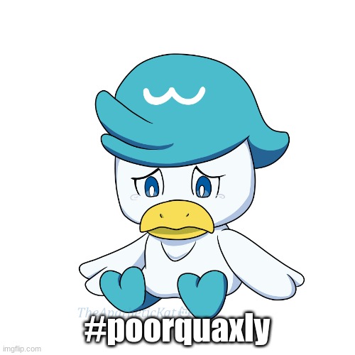 #poorquaxly | #poorquaxly | image tagged in quaxly,sad quaxly | made w/ Imgflip meme maker