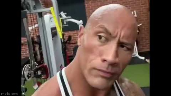 The rock | image tagged in the rock | made w/ Imgflip meme maker