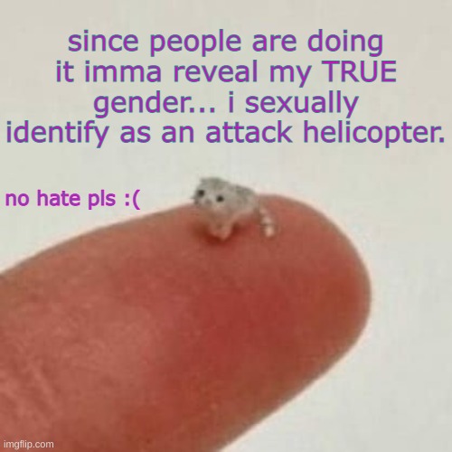 satire obv | since people are doing it imma reveal my TRUE gender... i sexually identify as an attack helicopter. no hate pls :( | image tagged in drm's el wiwi template | made w/ Imgflip meme maker