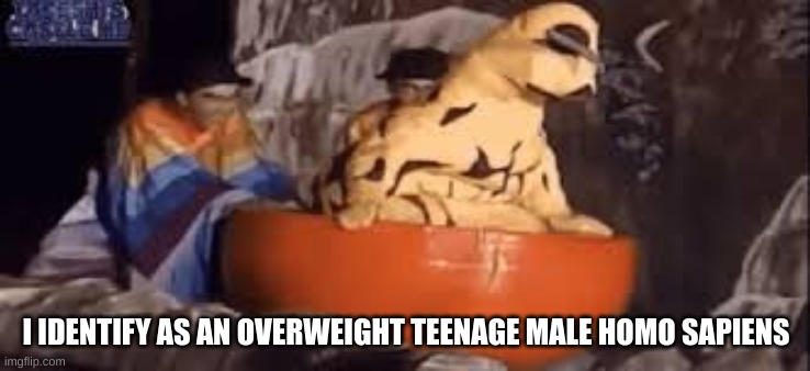 eleking at splash mountain | I IDENTIFY AS AN OVERWEIGHT TEENAGE MALE HOMO SAPIENS | image tagged in eleking at splash mountain | made w/ Imgflip meme maker