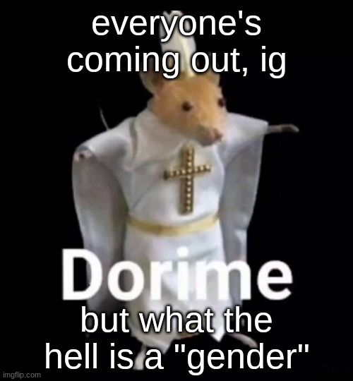 rato dorime | everyone's coming out, ig; but what the hell is a "gender" | image tagged in rato dorime | made w/ Imgflip meme maker