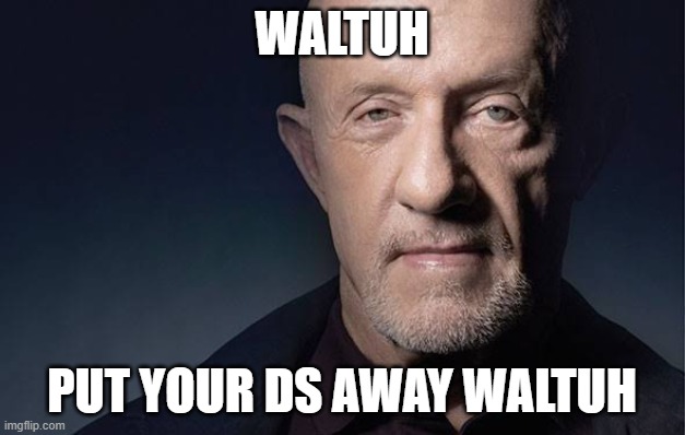 We don't need the ds waltuh. Put it away, waltuh. | WALTUH; PUT YOUR DS AWAY WALTUH | image tagged in kid named | made w/ Imgflip meme maker