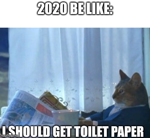 I Should Buy A Boat Cat | 2020 BE LIKE:; I SHOULD GET TOILET PAPER | image tagged in memes,i should buy a boat cat | made w/ Imgflip meme maker