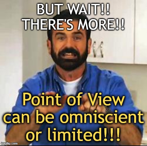 Billy Mays | BUT WAIT!! THERE'S MORE!! Point of View can be omniscient or limited!!! | image tagged in billy mays | made w/ Imgflip meme maker