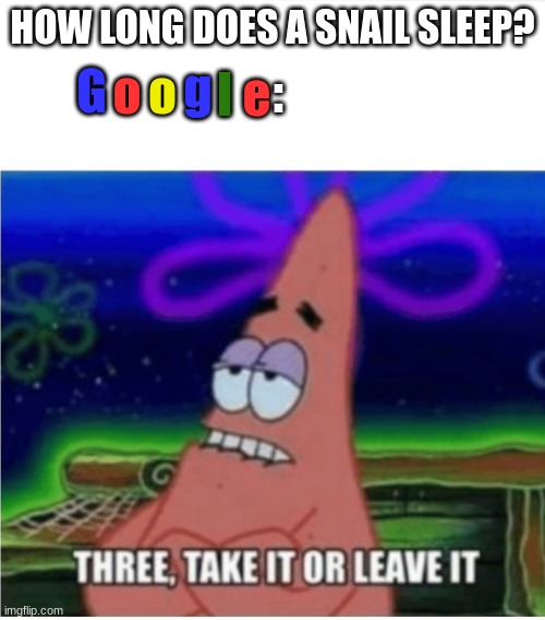 Google be like | HOW LONG DOES A SNAIL SLEEP? g; :; o; o; e; G; l | image tagged in three take it or leave it patrick | made w/ Imgflip meme maker